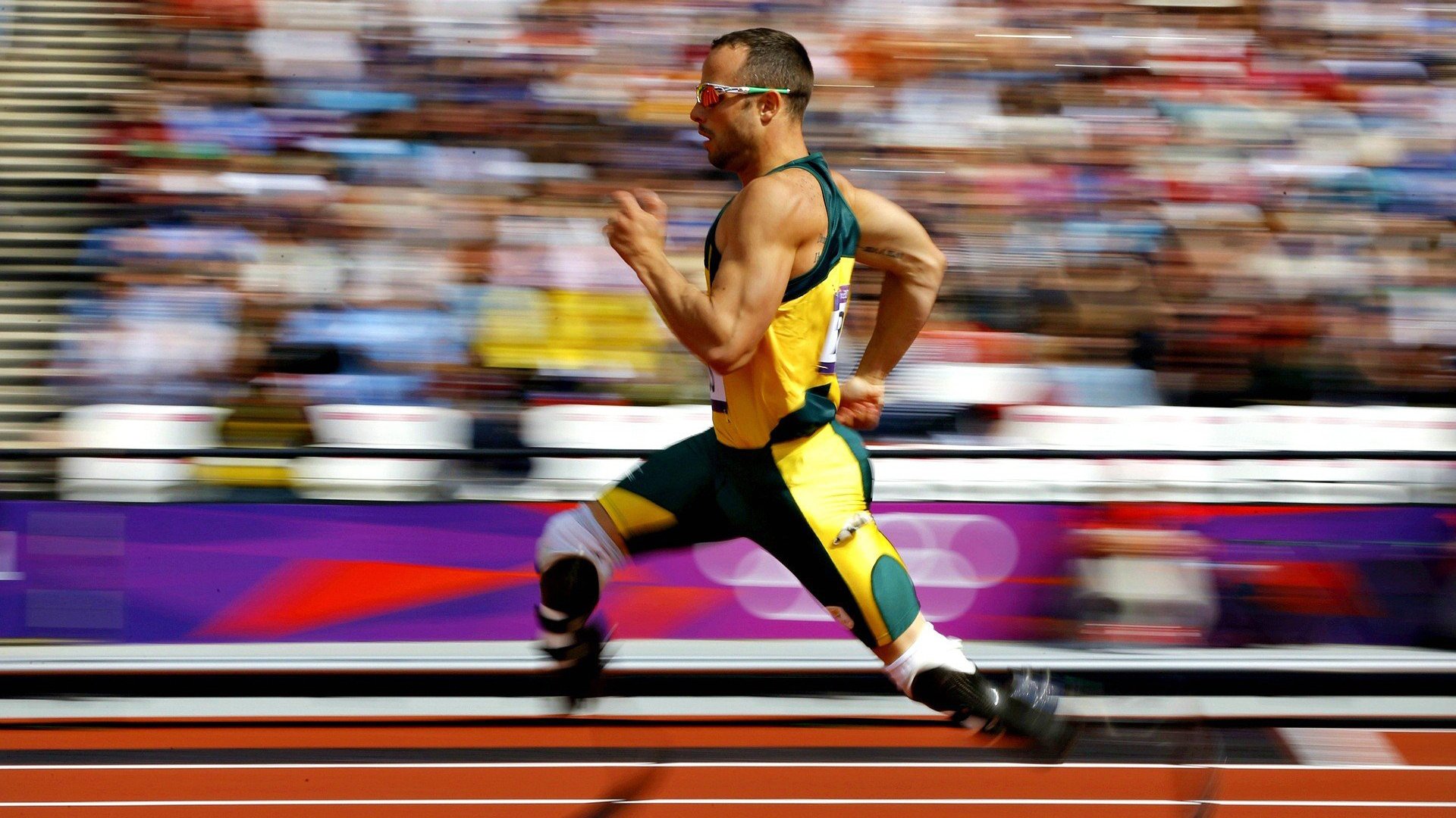 艾哈迈德·贾瓦迪泳池内展现斗志，艾哈迈德·贾布里勒